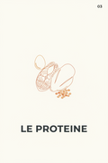 Le Guide EUVITAL - Le Proteine