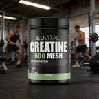 EUVITAL Creatine 500 Mesh — Creatina Monoidrato Micronizzata Ultrapura | Nuovamente Disponibile da Settembre!