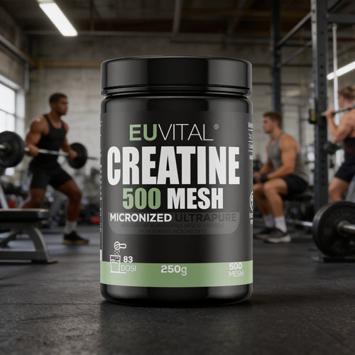 EUVITAL Creatine 500 Mesh — Creatina Monoidrato Micronizzata Ultrapura | Nuovamente Disponibile da Settembre!